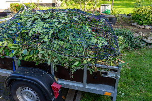 Best Hoarding Cleanup  in Casselton, ND